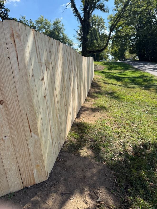 Treated wood privacy fence
