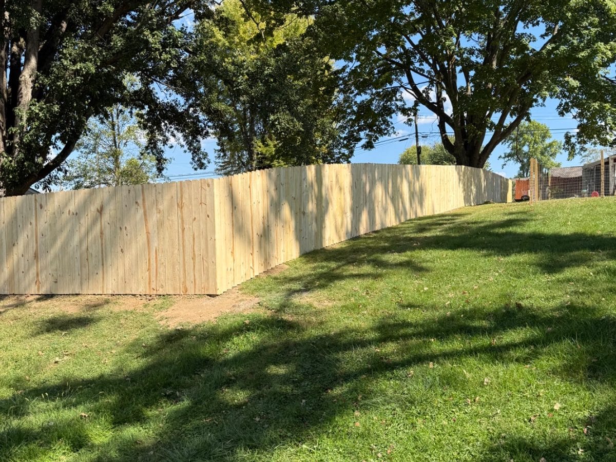 Treated wood privacy fence